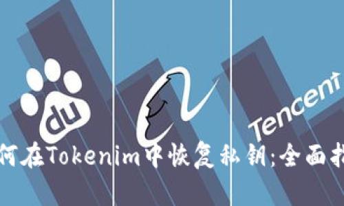 如何在Tokenim中恢复私钥：全面指南
