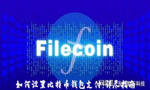 
如何设置比特币钱包支付：详尽指南
