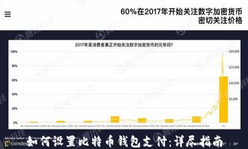 
如何设置比特币钱包支付：详尽指南