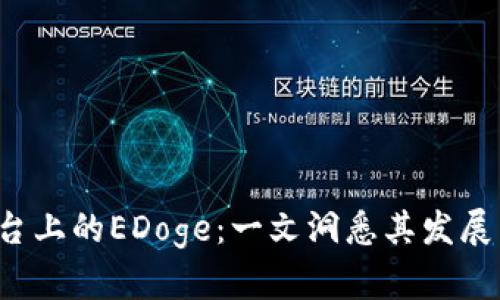 深入解析Tokenim平台上的EDoge：一文洞悉其发展历程、特点与未来潜力