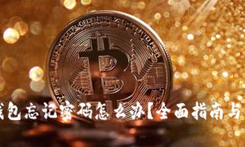 比特币钱包忘记密码怎么办？全面指南与解决方案