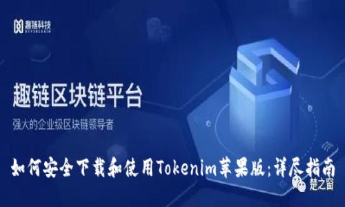 如何安全下载和使用Tokenim苹果版：详尽指南