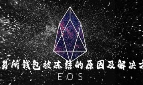 USDT交易所钱包被冻结的原因及解决方案详解