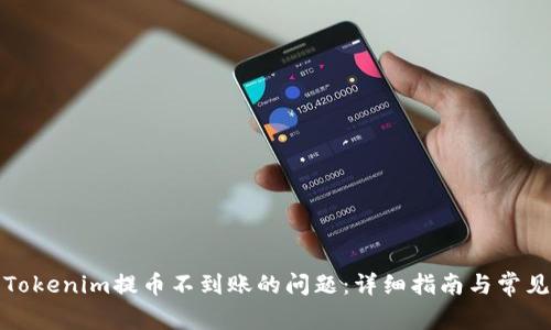 如何解决Tokenim提币不到账的问题：详细指南与常见问题解答