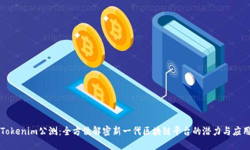 Tokenim公测：全方位解密新一代区块链平台的潜力与应用