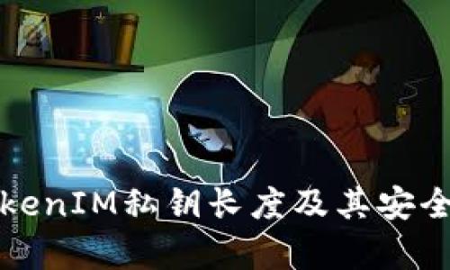 探究TokenIM私钥长度及其安全性分析