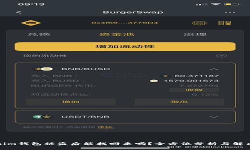 Tokenim钱包被盗后能找回来吗？全方位分析与解决方案