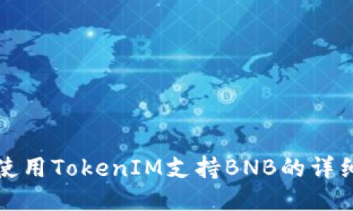 如何使用TokenIM支持BNB的详细指南