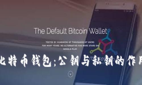 深入了解比特币钱包：公钥与私钥的作用与安全性