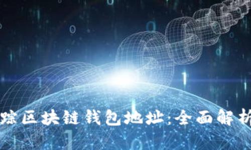 如何有效追踪区块链钱包地址：全面解析及工具推荐