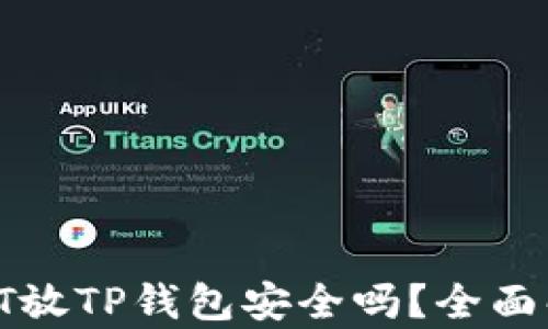 
baioti高仿USDT放TP钱包安全吗？全面解读与风险分析