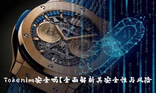 Tokenim安全吗？全面解析其安全性与风险